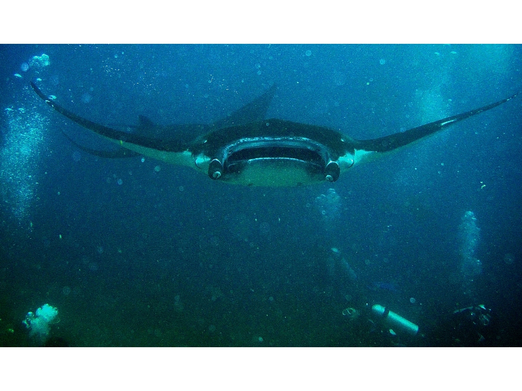 IMG_6885 - Version 2 IMG_6885 - Version 2